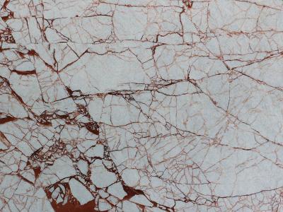 Red Spider  Marble