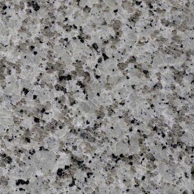 New Platinum White Granite Stone