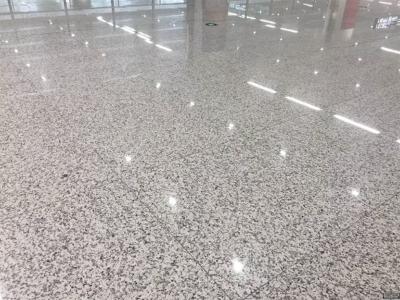 New Platinum White Granite Stone