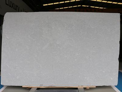 Cambrian Gray Limestone