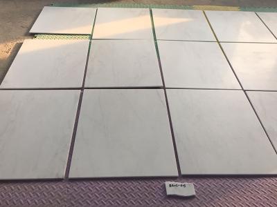 White Marble Tiles